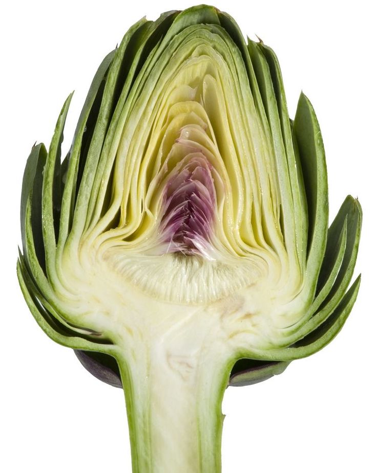 an artichoke is cut in half and ready to be used as a garnish