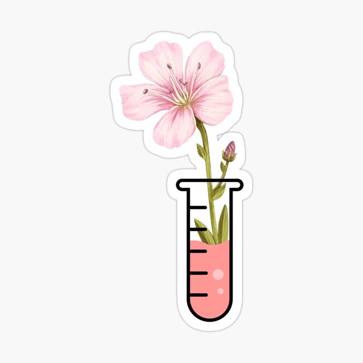 a pink flower in a test tube sticker