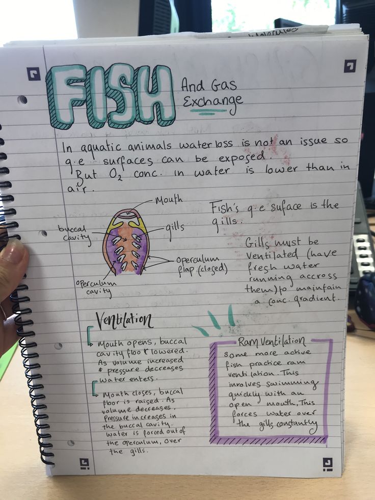 a hand holding up a piece of paper with writing on it that says fish and gas exchange