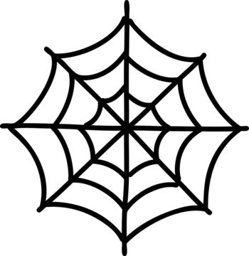 a spider web on a white background