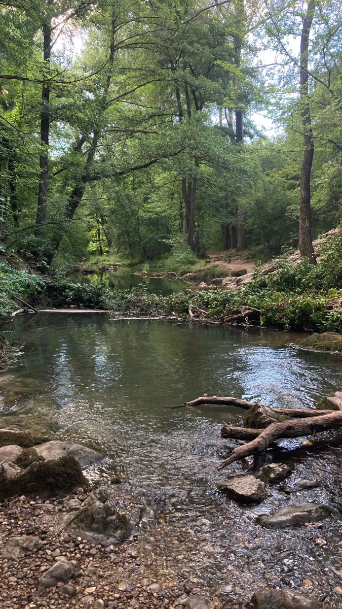 a small river running through a forest filled with lots of rocks and green trees in the background