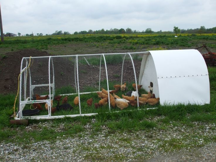 chickens in a small chicken coop on the side of a road near an open field