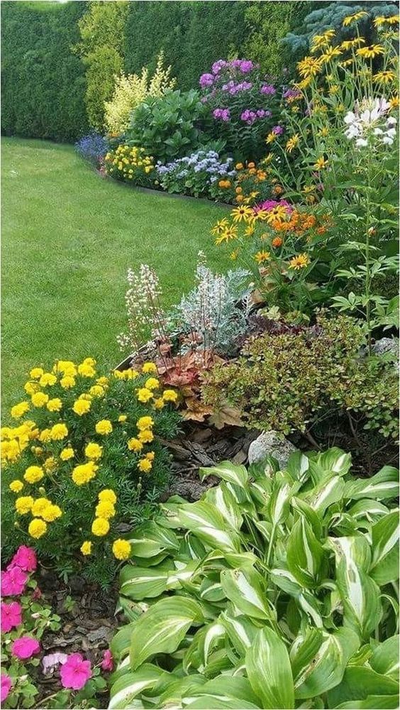 a garden filled with lots of different types of flowers