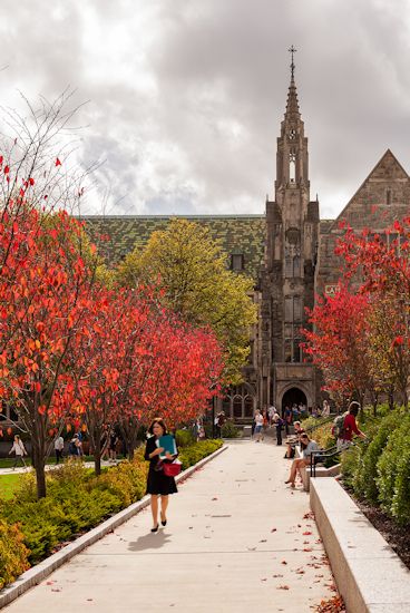 a woman walking down a walkway in front of a building with trees and flowers on both sides