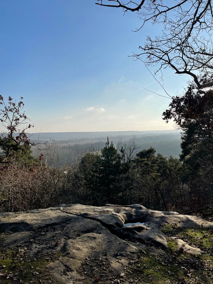 a bench on top of a large rock in the woods