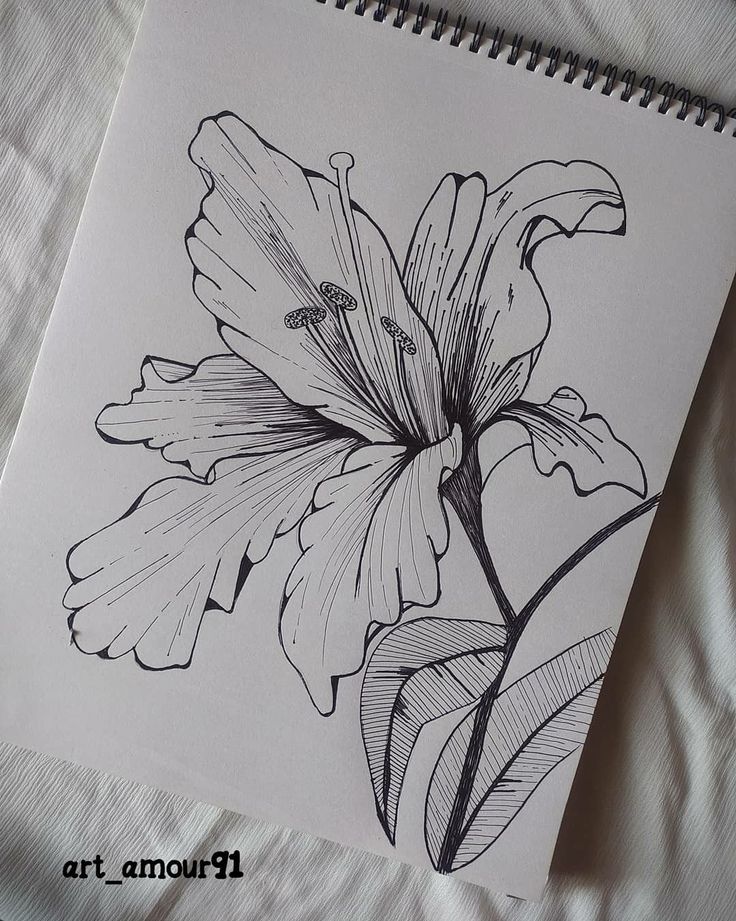 a drawing of a flower on a sheet of paper