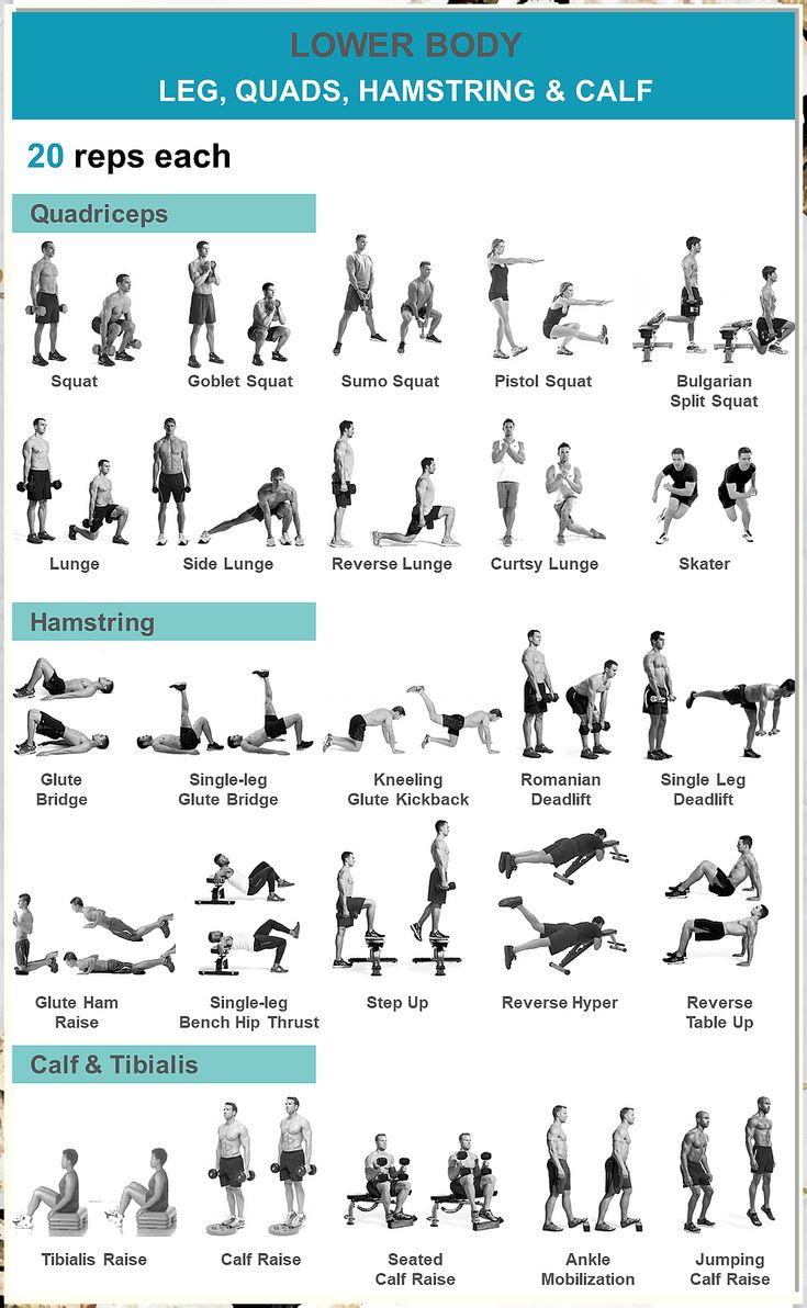 Looking to improve your fitness in record time? This fitness plan will help get you there. Calf And Hamstring Stretches, Lower Body Body Weight Exercises, Body Weight Leg Day, Dumbell Leg Exercises, Lower Body Quad Workout, Single Leg Hamstring Exercises, Body Weight Quad Workout, Quads And Calf Workout, Leg With Dumbbells