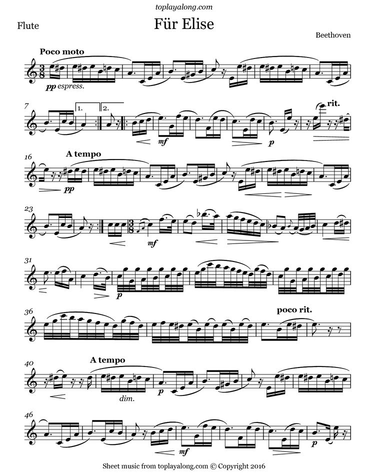 sheet music with the words fur elise on it