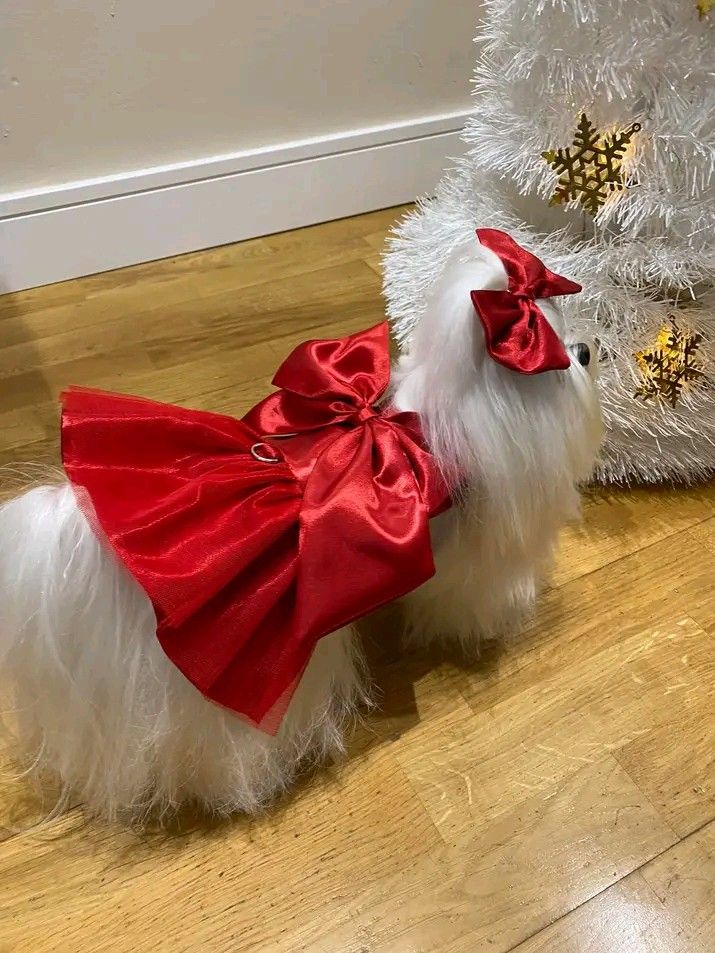 a small white dog wearing a red bow