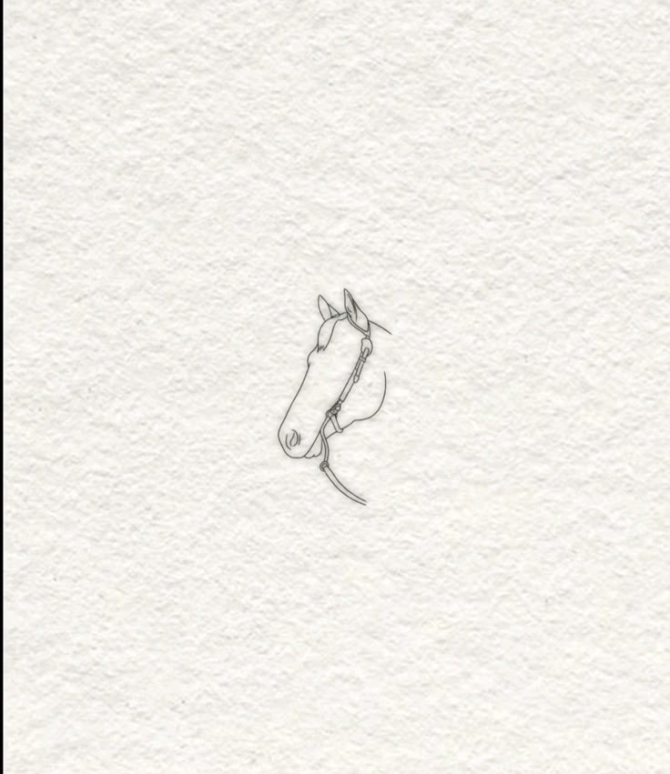 a drawing of a horse's head on white paper with black border around it