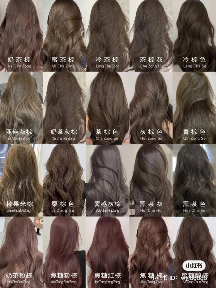 Subtle Hair Colors For Dark Hair, Asian Light Hair Color, Asian Hair Color Ash Brown, Ash Brown Vs Chocolate Brown, Milktea Brown Hair Color Asian, Brown Hair Blue Undertone, Brown Hair Shades For Fair Skin, Hair Dye Colors For Asians, Milk Tea Brown Hair On Tan Skin