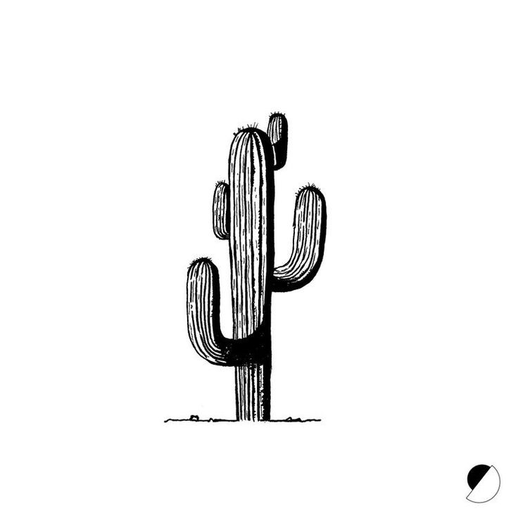 a black and white drawing of a cactus