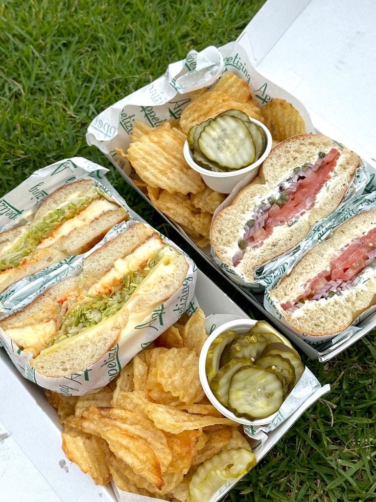 two sandwiches with pickles and chips are on the grass next to eachother