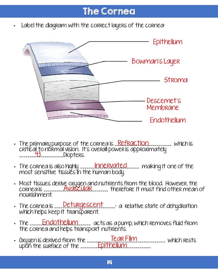 an open book with the contents labeled in it