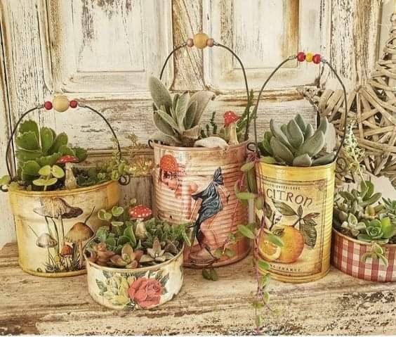 several tins filled with plants sitting on top of a wooden table