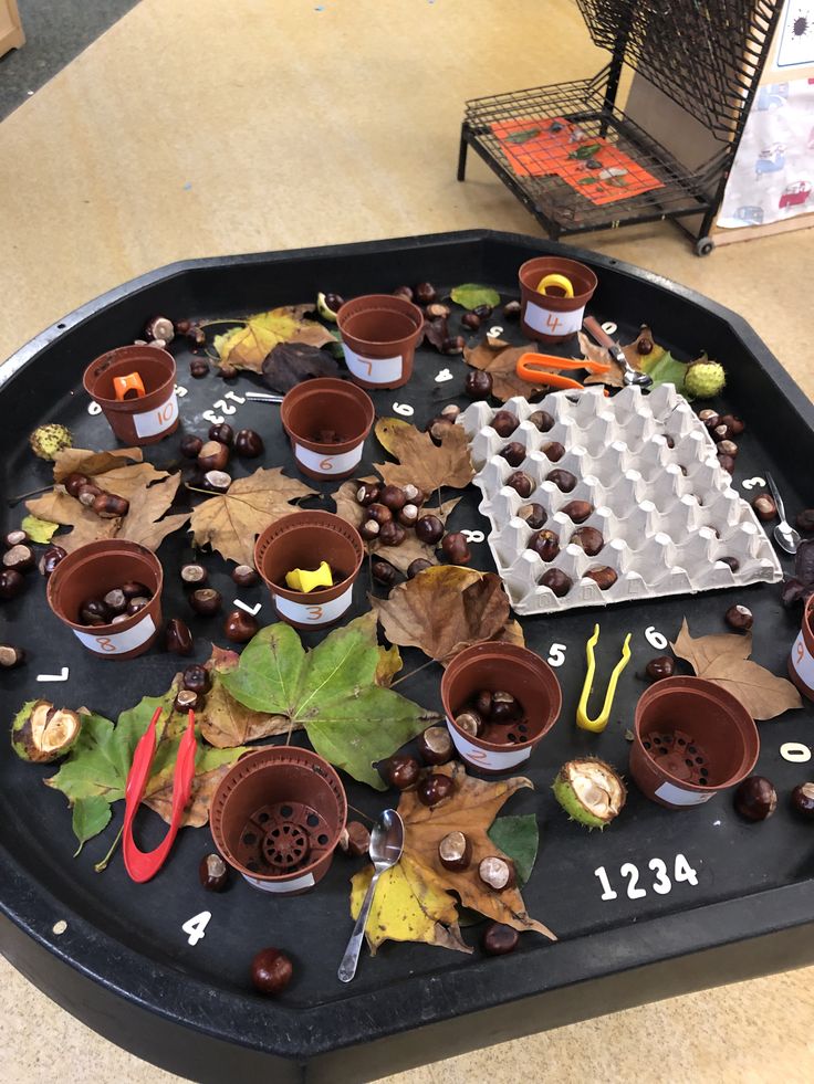 the tray is filled with plants and seeds