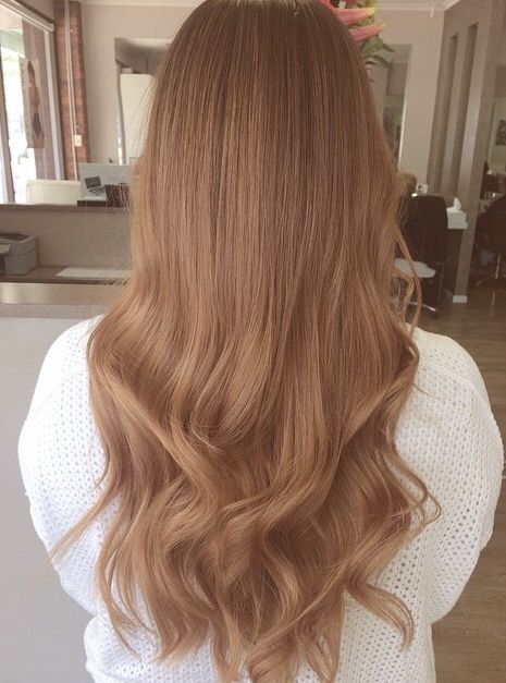 Solid Color Hair Ideas Light Brown, Light Honey Tea Brown Hair Color, Copper Beige Hair, Lemon Honey Hair, Korean Copper Hair, Strawberry Dark Blonde Hair, Butterscotch Brown Hair, Fawn Brown Hair, Caramel Ginger Hair