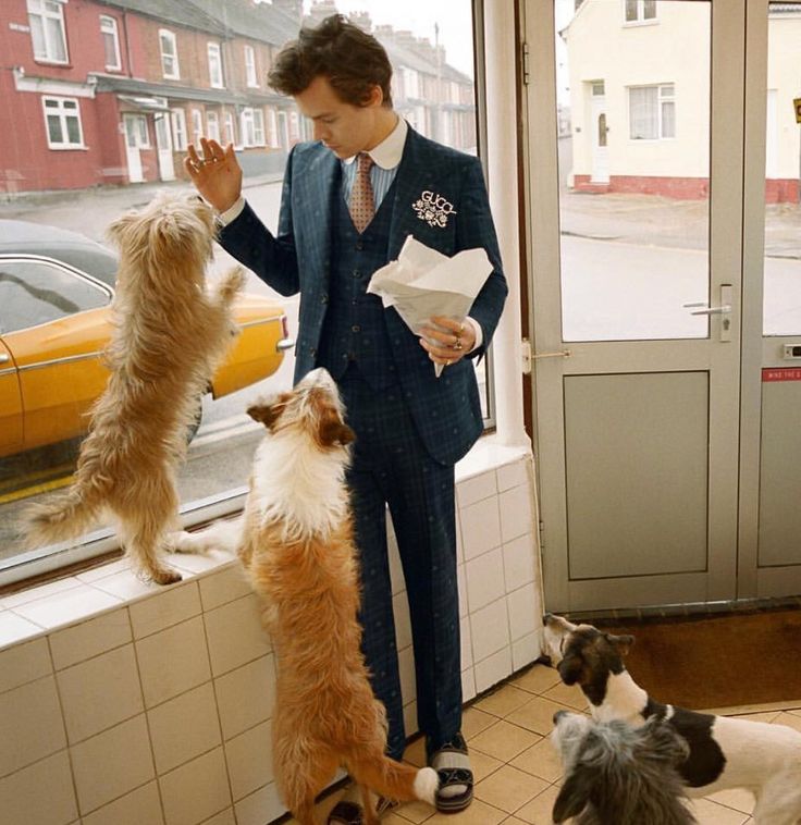 a man standing in front of a window surrounded by dogs looking out at the street