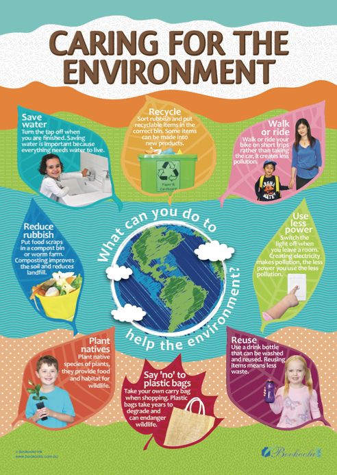 an info poster with different things to see in the environment, including water and plants