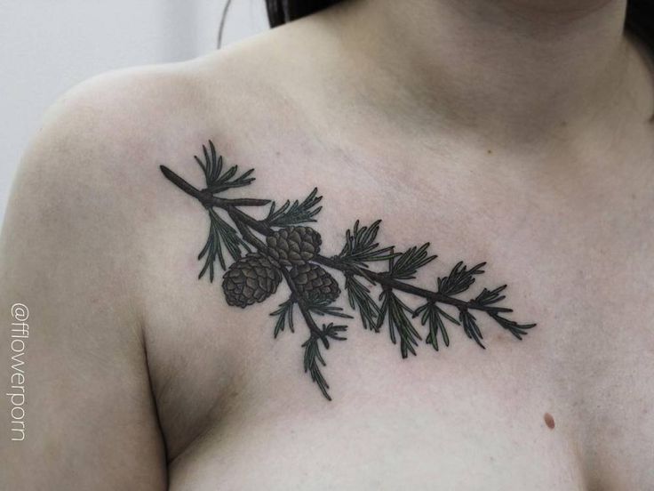 a pine cone and branch tattoo on the chest