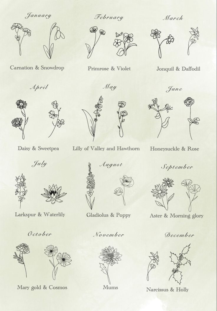 an image of flowers and their names