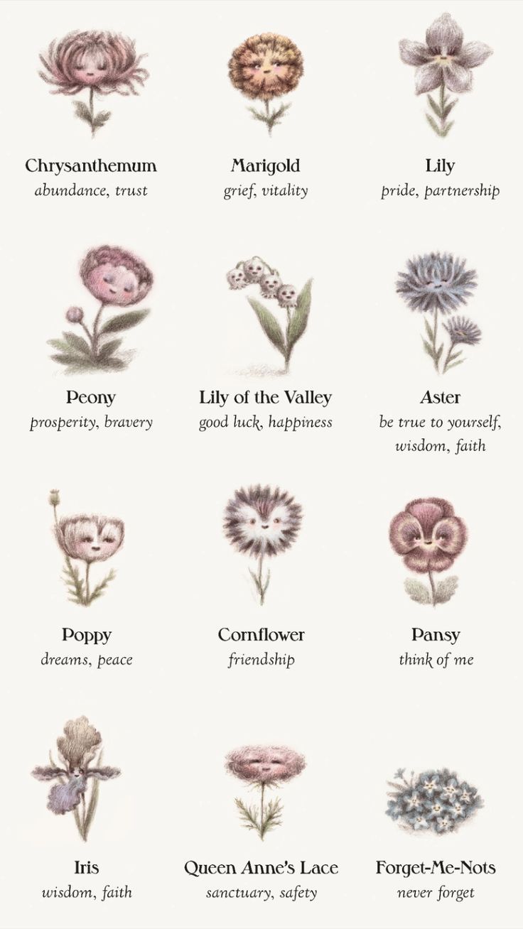 Picture of a book: The Language of Flowers by Dena Seiferling Tattoo Meanings, The Language Of Flowers, Secret Language, Flower Meanings, Victorian Flowers, Nothing But Flowers, Witchy Stuff, Flower Therapy, Flower Names