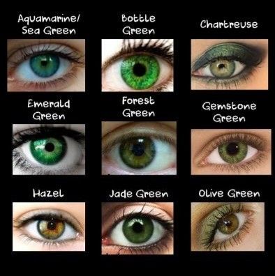 the different types of green eyes are shown in this image, and each one has their own name