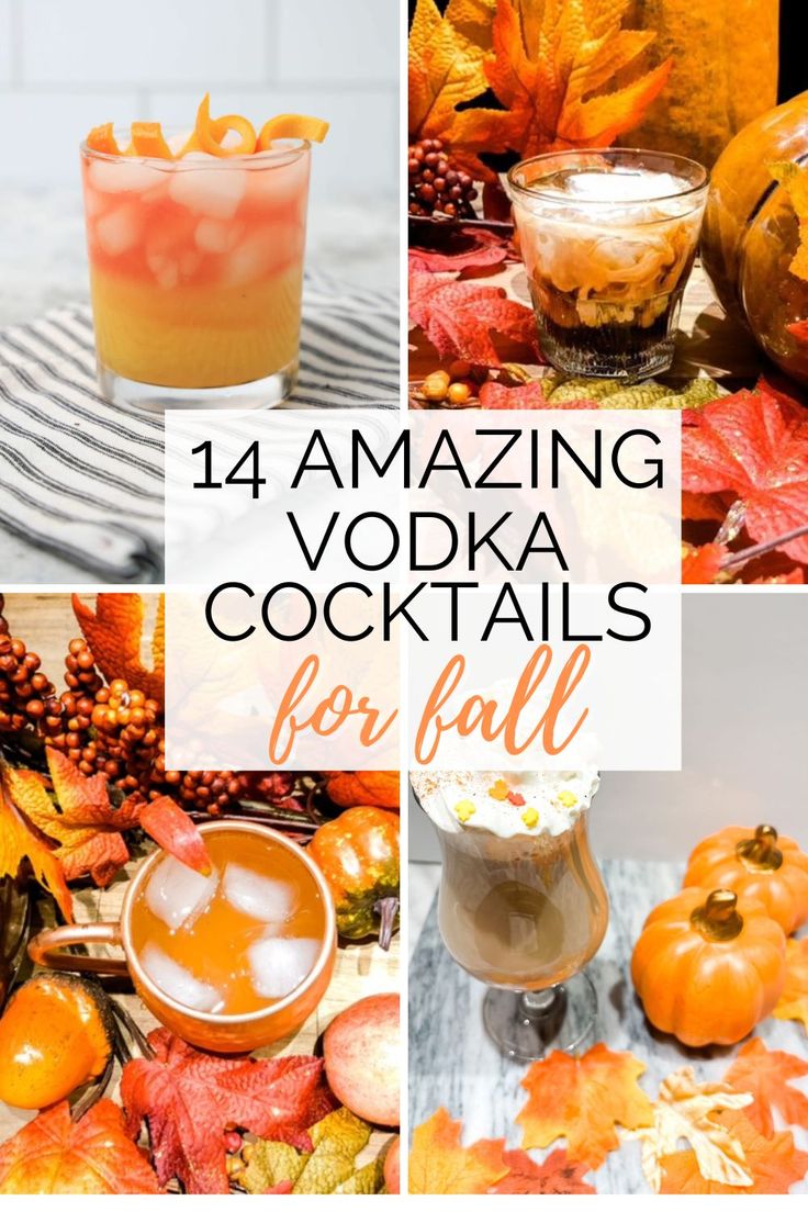 Fall Drink Party, October Vodka Cocktails, Fall Booze Drinks, Fall Party Drinks Alcohol, Alcholic Drink For Thanksgiving, Carmel Vodka Apple Cider Fall Drinks, Thanks Giving Drinks Alcoholic, Easy Fall Drinks Alcohol Recipes, Easy Thanksgiving Alcoholic Drinks