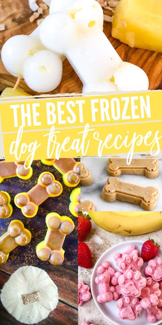 the best frozen dog treat recipes and treats for dogs, cats, and puppies