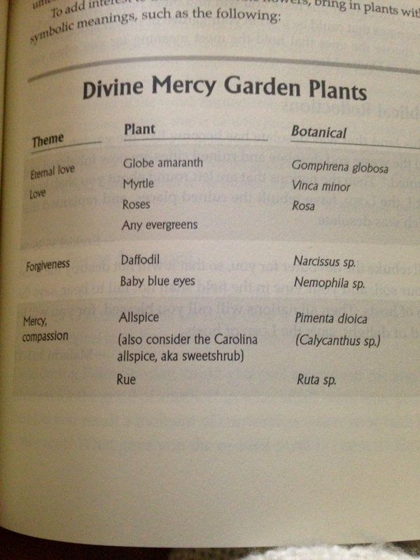 an open book showing the names of different plants