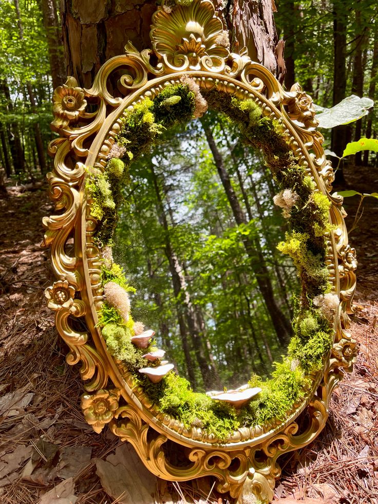 a mirror with moss growing on it in the woods near a tree trunk and leaves