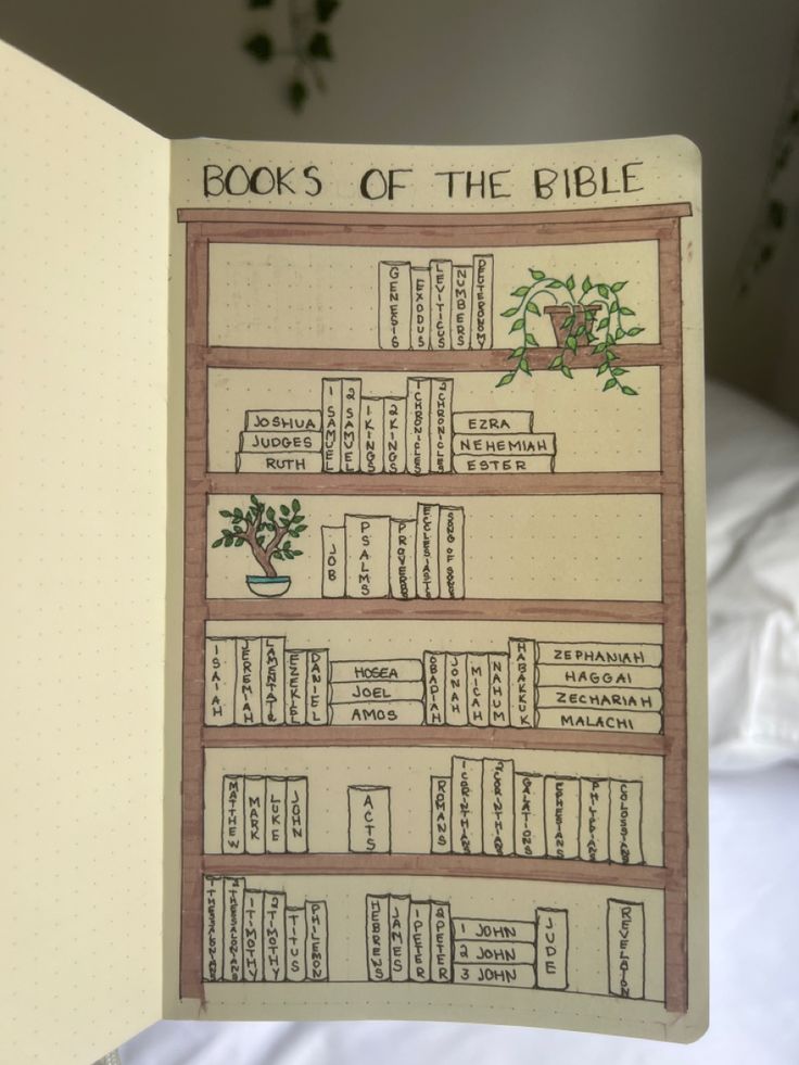 a hand holding up a book with an illustrated page on it that says books of the bible