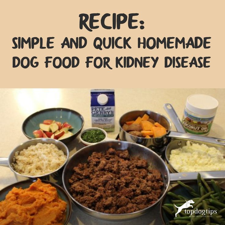 Homemade Dog Food for Kidney Disease Recipe Video (Quick, Simple) Kidney Diet For Dogs, Food For Kidney, Renal Diet Recipes, Diy Dog Food, Make Dog Food, Kidney Recipes, Kidney Diet, Renal Diet, Crockpot Recipes Beef