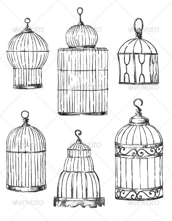 hand drawn birdcages in different shapes and sizes