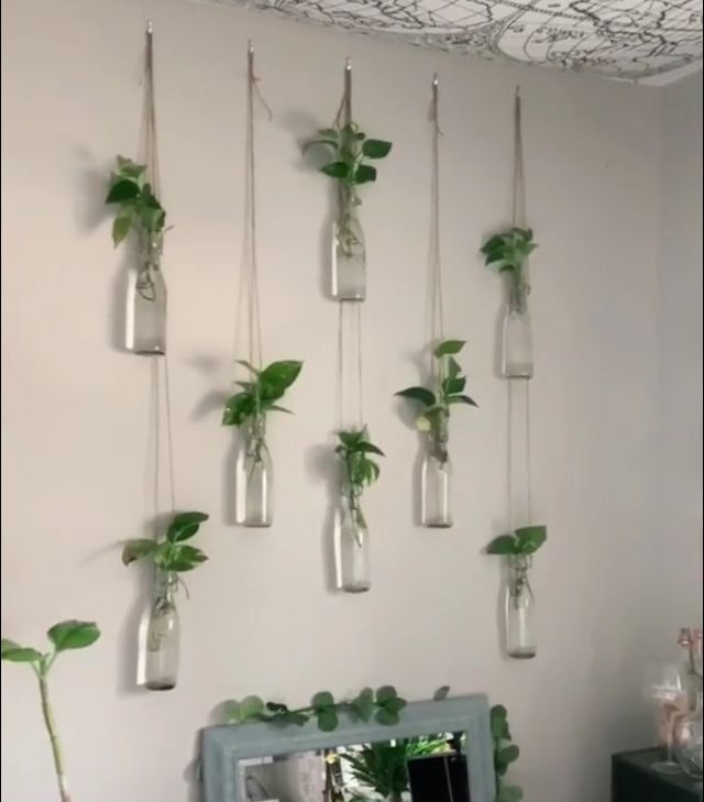 there are many plants in glass bottles hanging on the wall above a dresser and mirror