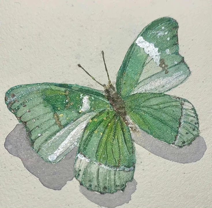 a green butterfly sitting on top of a white wall