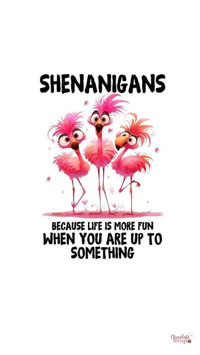 three flamingos standing next to each other with the caption,'shenangans because life is more fun when you are up to something