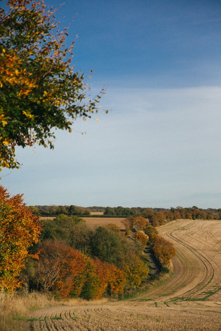 an open field with trees in the background and a dirt road leading to it on either side