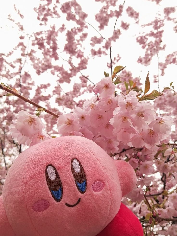 a pink stuffed animal sitting in front of cherry blossoms