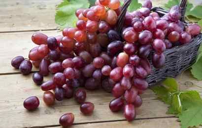 the grapes are ready to be picked from the vine in the basket and placed on the table