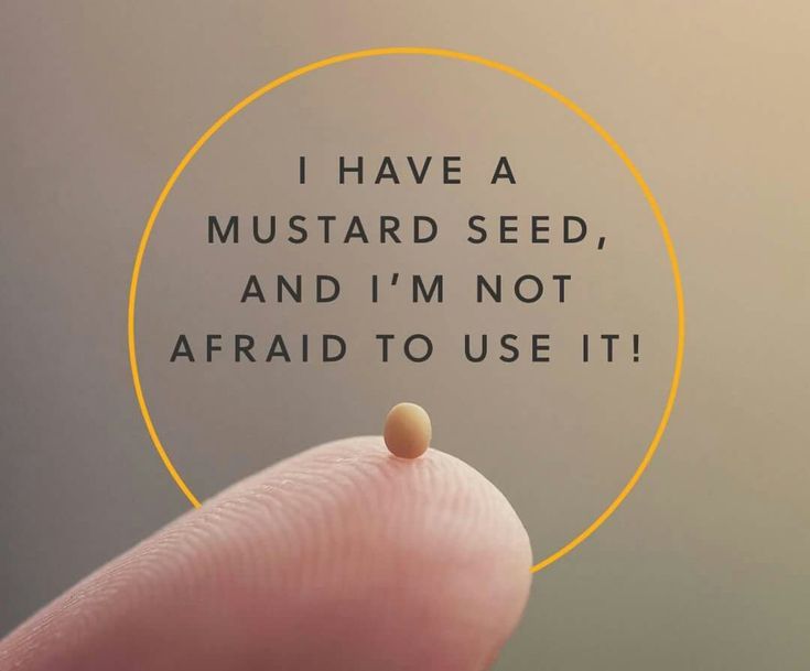 a hand holding a tiny round object with the words i have a mustard seed, and i'm not afraid to use it