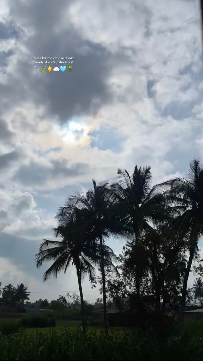 some palm trees and clouds in the sky