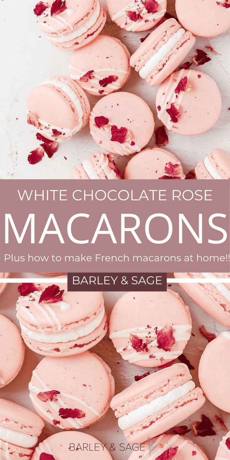 white chocolate rose macarons with pink frosting on top and the title overlay reads, white chocolate rose macaroons plus how to make french macarons at home