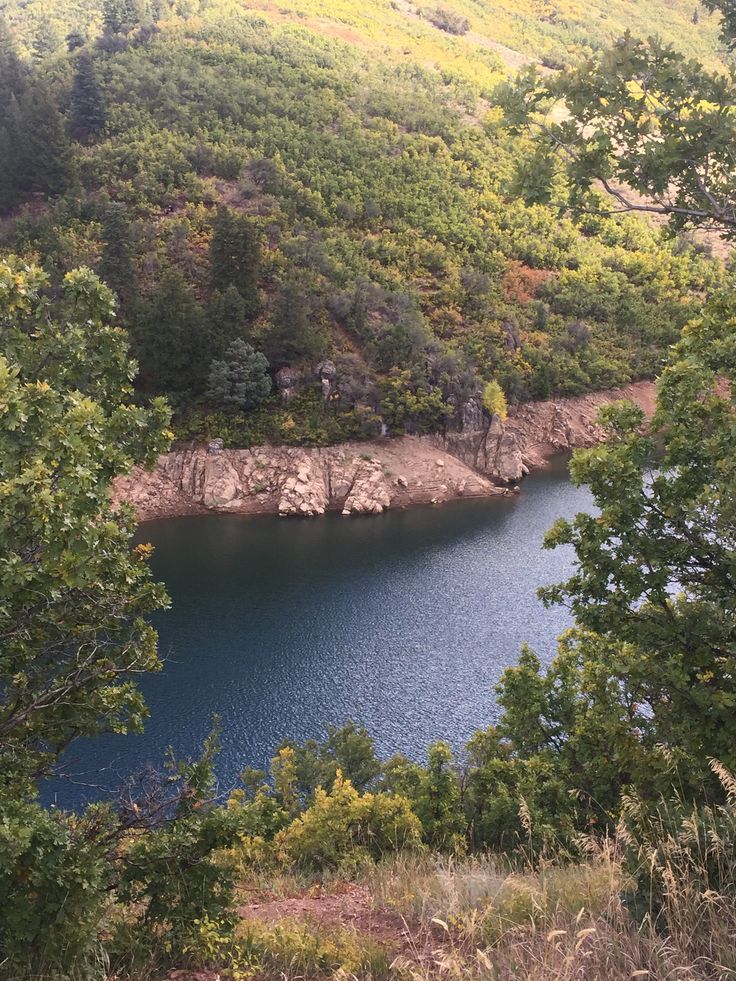 a large body of water surrounded by trees