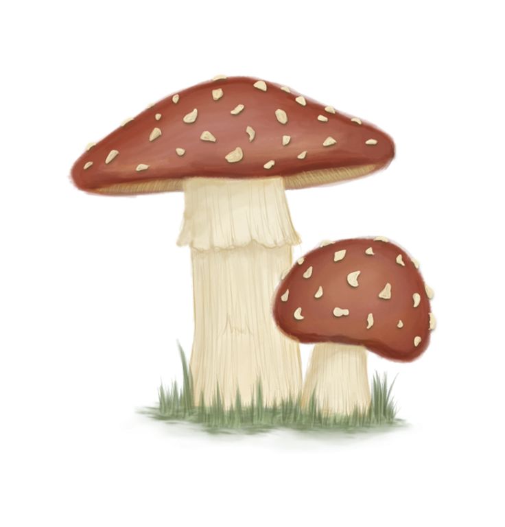 two mushrooms with hearts on them sitting in the grass