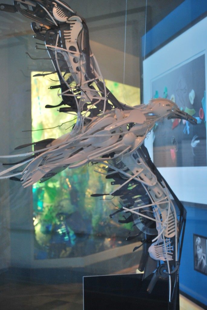 a model of a bird in a glass case with pictures on the wall behind it