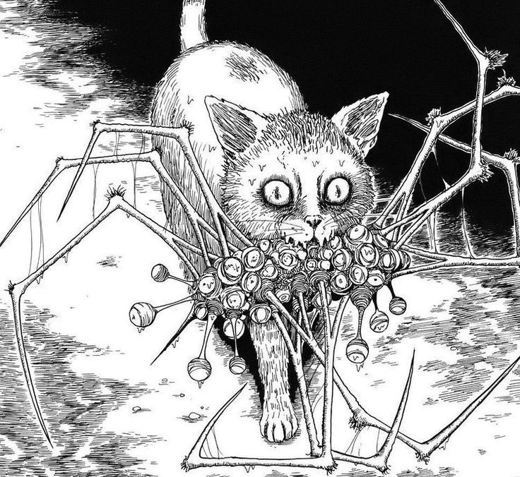 a black and white drawing of a cat in front of a spider with berries on it