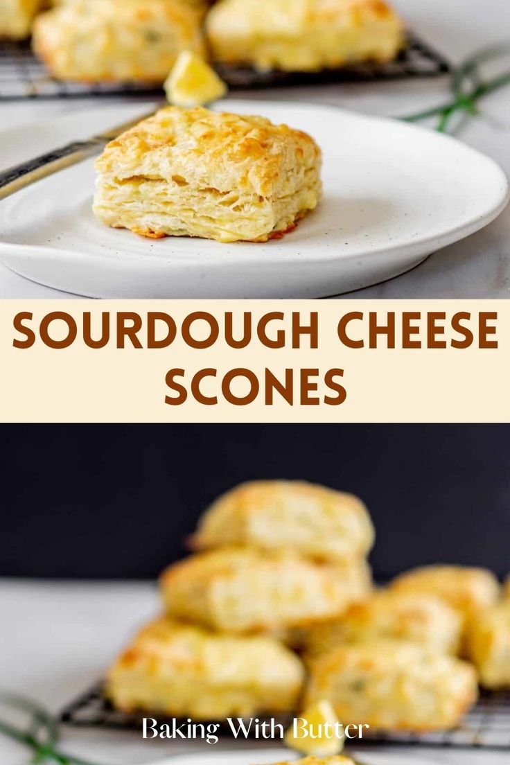 scones on a plate with text overlay that reads sourdough cheese scones