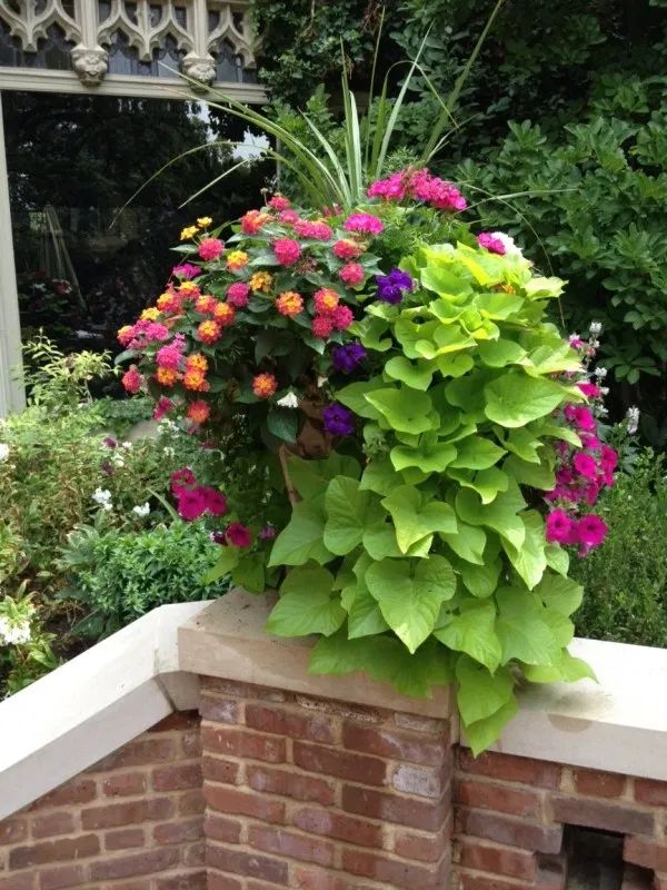 a potted plant sitting on top of a brick wall next to a garden area