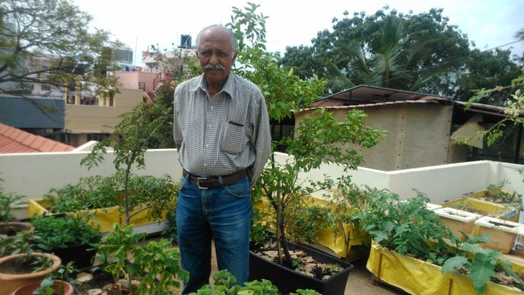 an older man standing in front of some plants on a roof top garden area with buildings in the background